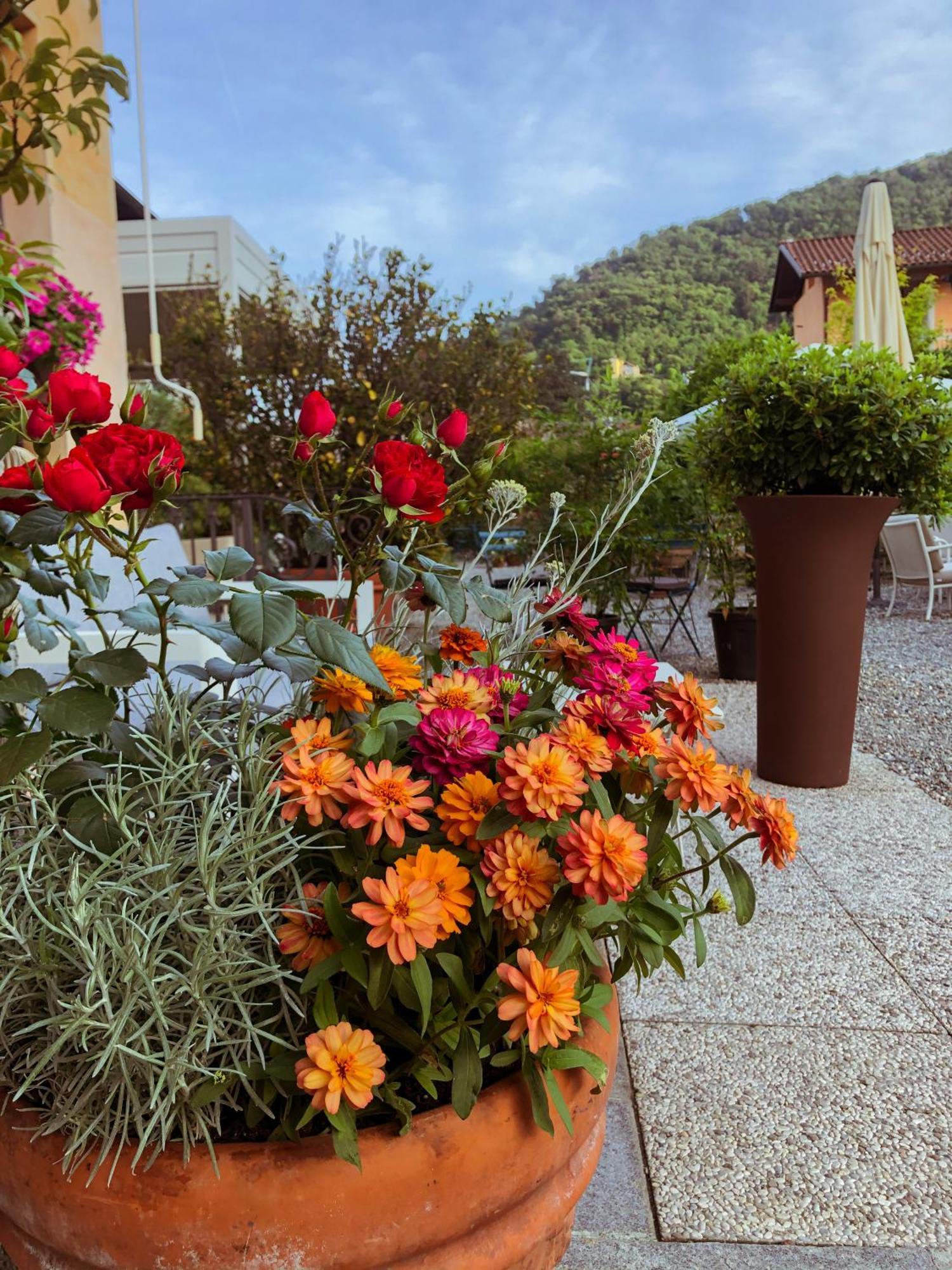 Hotel Antica Stallera Cannobio Exterior photo